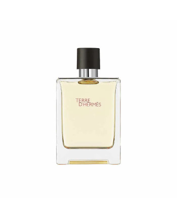 Hermes Terre D'Hermes Eau De Toilette Vaporisateur 100ml
