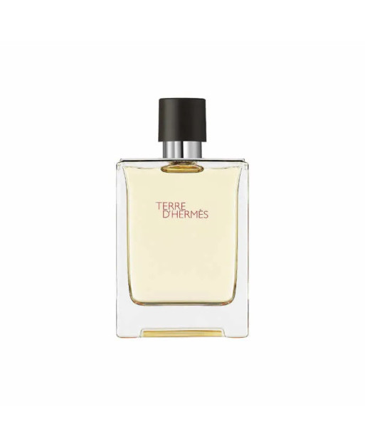 Hermes Terre D'Hermes Eau De Toilette Vaporisateur 100ml